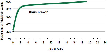 Brain Growth by Age